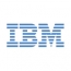 TFT monitoren - IBM LCD 10.1- WSVGA TFT LED - LTN101NT02